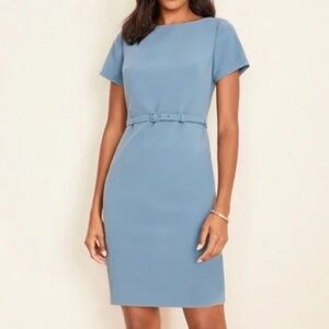 Ann Taylor Petite Sheath Dress - EUC